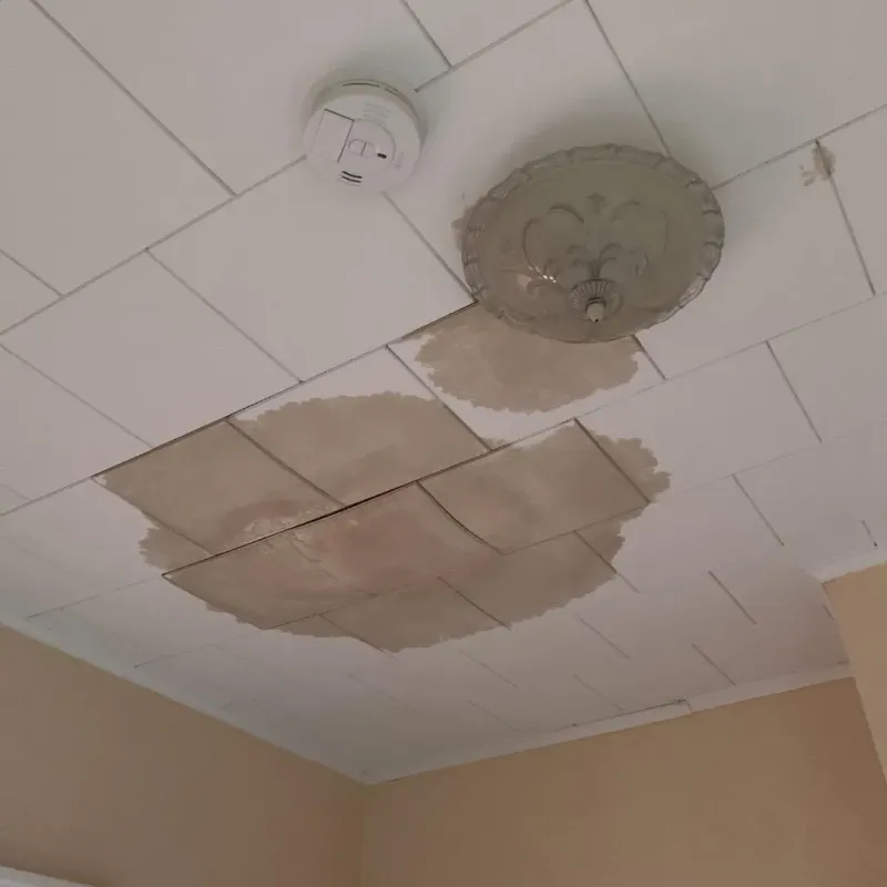 Ceiling Water Damage Repair in Westmoreland, TN