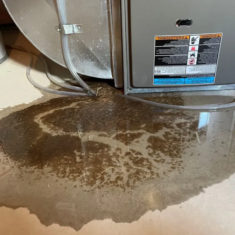 Pipe Burst and Leak Restoration in Westmoreland, TN