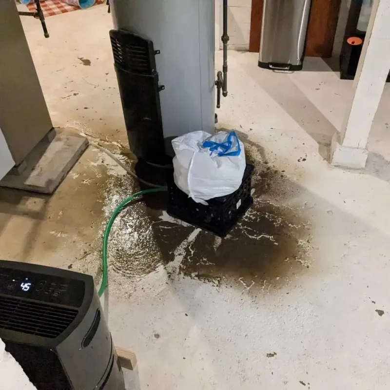 Sewage Backup Cleanup Service in Westmoreland, TN